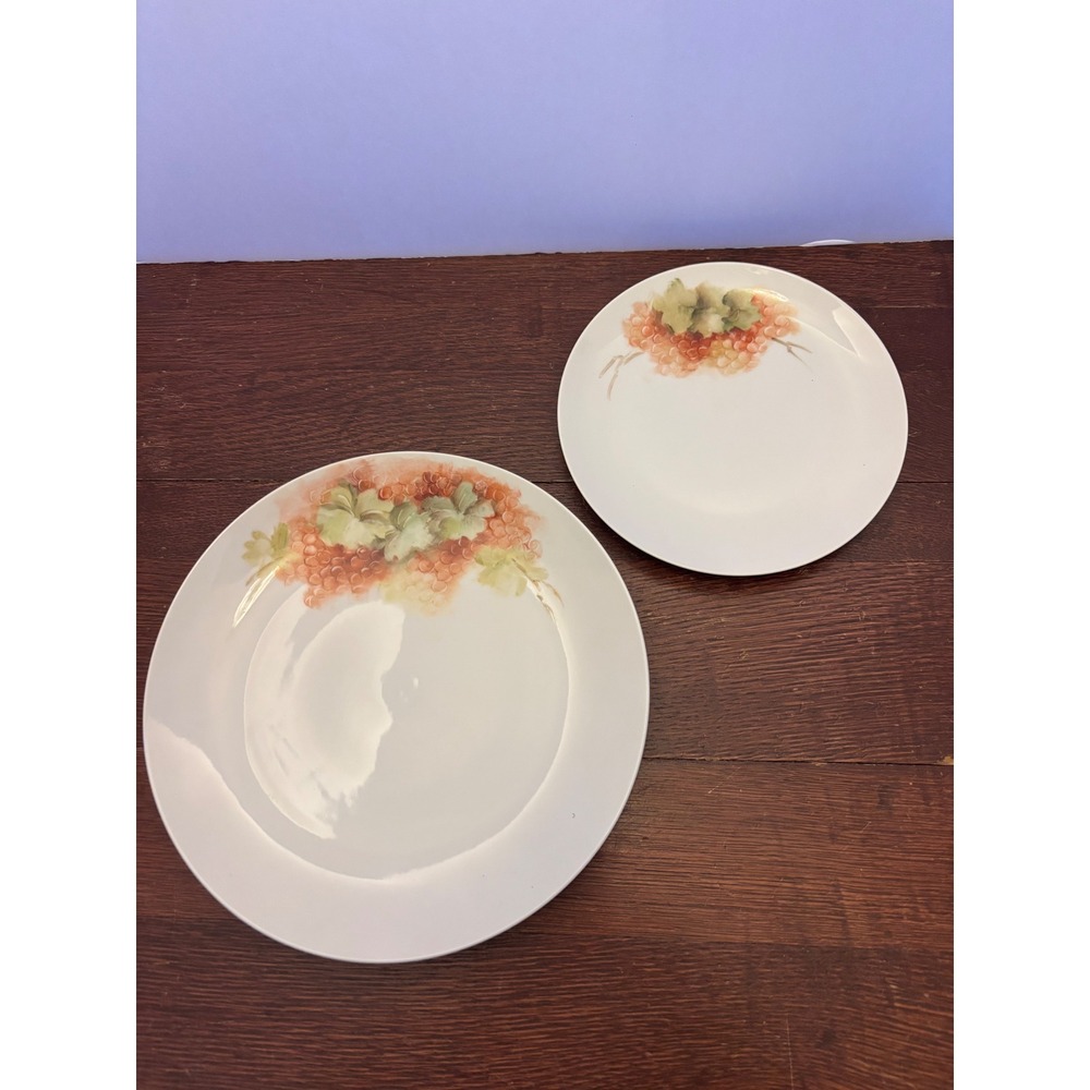 H. Harris Floral Dinner & Salad Plates Set of 2 Rosenthal Attributed